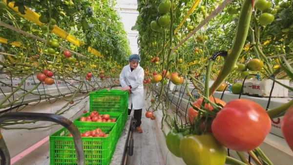 微信圖片_20250205091812 微信圖片_20250205091812