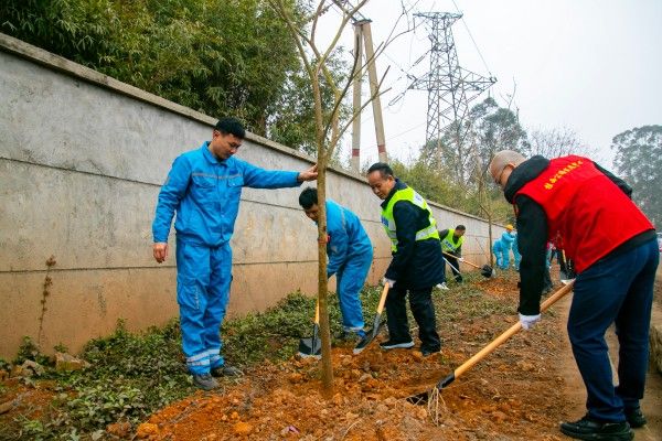 20250310170656509 20250310170656509