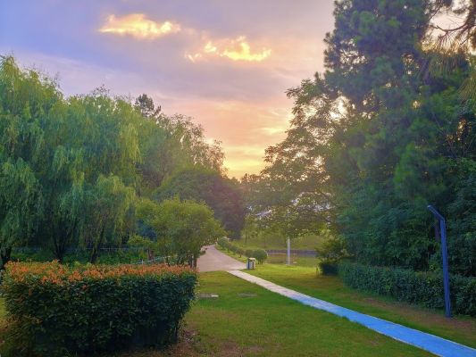 宣城海螺王明，油畫_副本